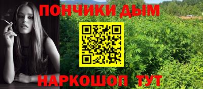 шишки Будённовск