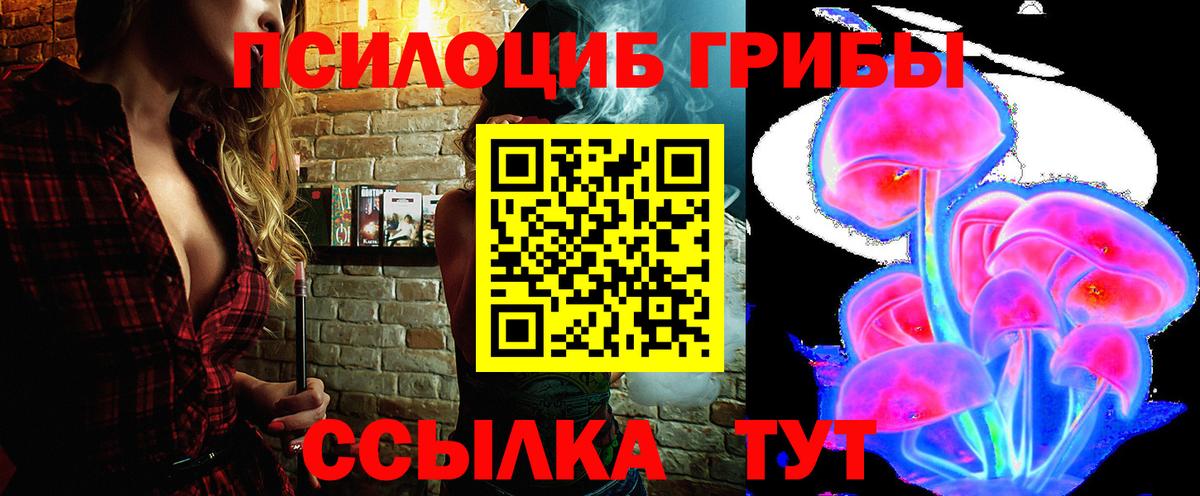 Псилоцибиновые грибы Cubensis  Псилоцибиновые грибы GOLDEN TEACHER  Тельмана  Вход с VPN 